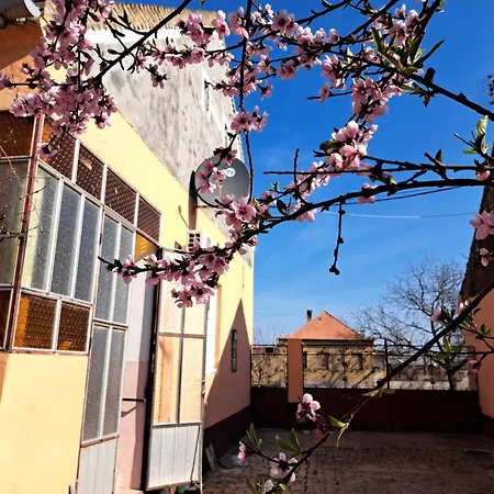 Eagles Court - Orlovski Vrt *