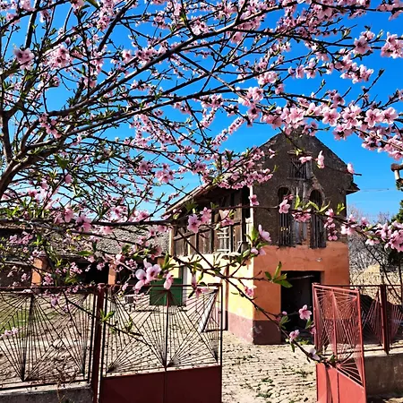 Eagles Court - Orlovski Vrt * Stajicevo