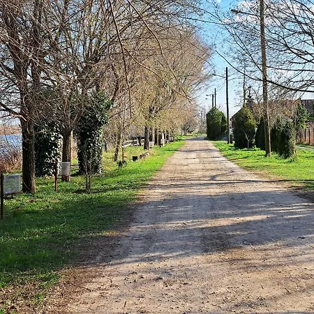 Casa de hóspedes Eagles Court - Orlovski Vrt Stajicevo