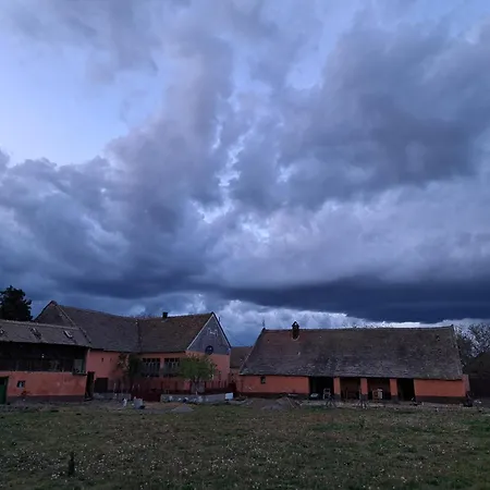 Eagles Court - Orlovski Vrt * Stajicevo