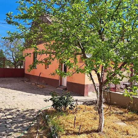 Eagles Court - Orlovski Vrt Stajicevo