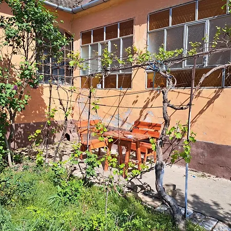 Eagles Court - Orlovski Vrt