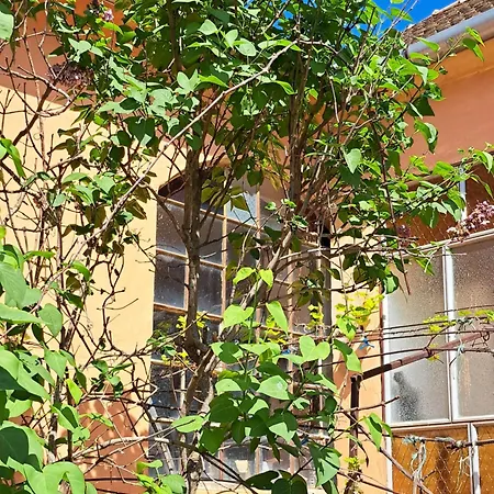 Casa de hóspedes Eagles Court - Orlovski Vrt Stajicevo