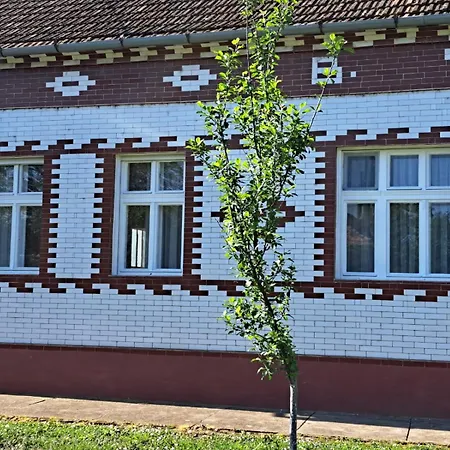 Casa de hóspedes Eagles Court - Orlovski Vrt Stajicevo