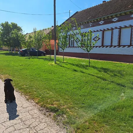 Eagles Court - Orlovski Vrt Casa de hóspedes Stajicevo