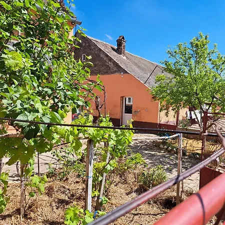 Eagles Court - Orlovski Vrt Casa de hóspedes Stajicevo